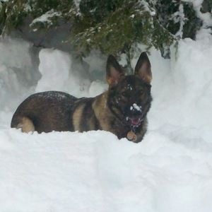 Meet your Posher, Amber